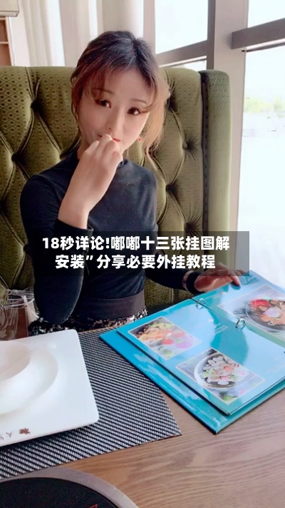 18秒详论!嘟嘟十三张挂图解安装”分享必要外挂教程-第1张图片