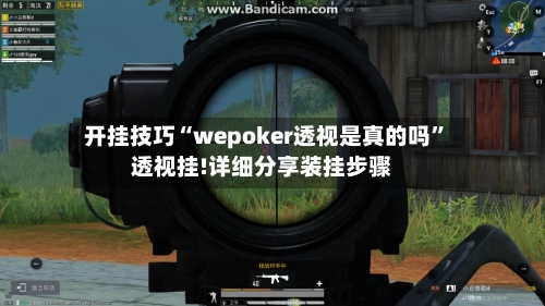 开挂技巧“wepoker透视是真的吗”透视挂!详细分享装挂步骤-第1张图片