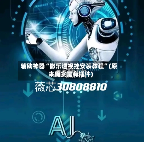 辅助神器“微乐透视挂安装教程”(原来确实是有插件)-第3张图片