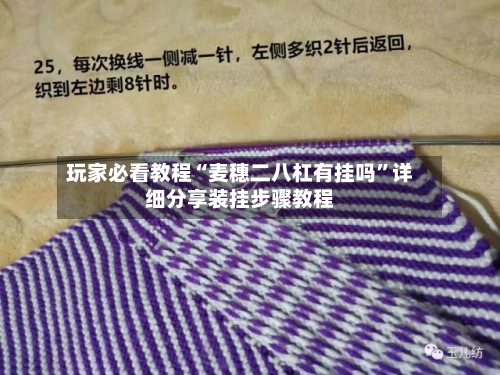 玩家必看教程“麦穗二八杠有挂吗”详细分享装挂步骤教程-第1张图片