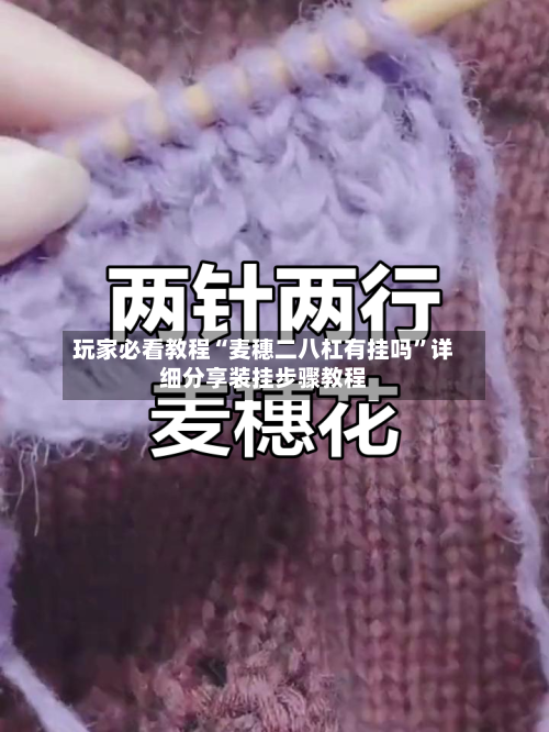 玩家必看教程“麦穗二八杠有挂吗”详细分享装挂步骤教程-第3张图片