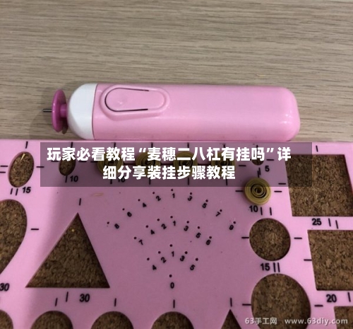 玩家必看教程“麦穗二八杠有挂吗	”详细分享装挂步骤教程-第2张图片