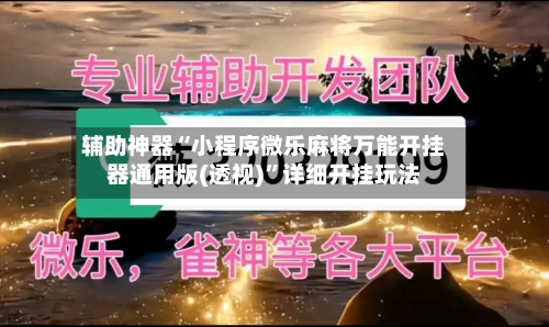 辅助神器“小程序微乐麻将万能开挂器通用版(透视)	”详细开挂玩法-第1张图片