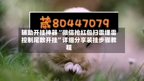 辅助开挂神器“微信抢红包扫雷埋雷控制尾数开挂	”详细分享装挂步骤教程-第1张图片