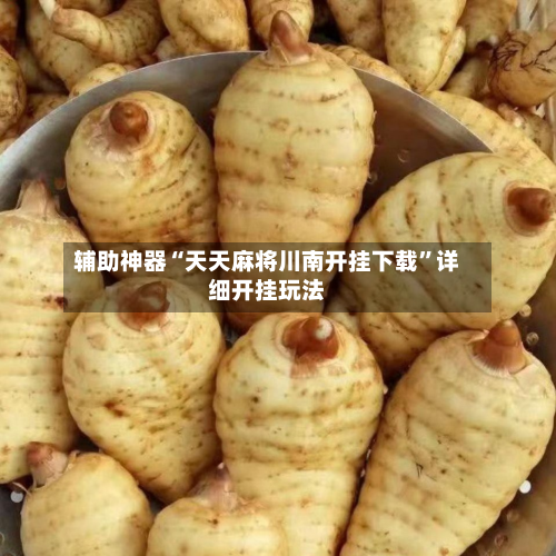 辅助神器“天天麻将川南开挂下载”详细开挂玩法-第1张图片