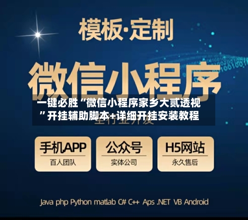 一键必胜“微信小程序家乡大贰透视”开挂辅助脚本+详细开挂安装教程-第3张图片