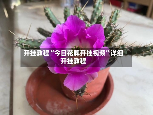 开挂教程“今日花牌开挂视频”详细开挂教程-第1张图片