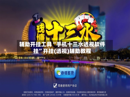 辅助开挂工具“手机十三水透视软件挂	”开挂(透视)辅助教程-第1张图片