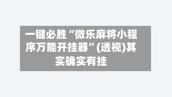 一键必胜“微乐麻将小程序万能开挂器”(透视)其实确实有挂-第2张图片
