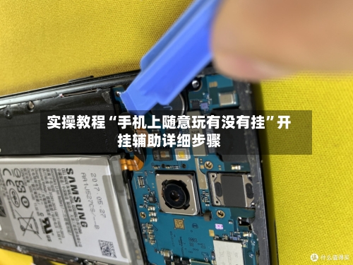 实操教程“手机上随意玩有没有挂	”开挂辅助详细步骤-第1张图片