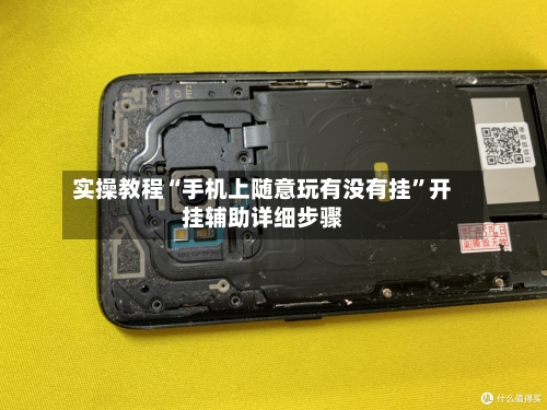 实操教程“手机上随意玩有没有挂”开挂辅助详细步骤-第2张图片