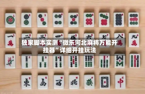 独家脚本实测“微乐河北麻将万能开挂器”详细开挂玩法-第1张图片