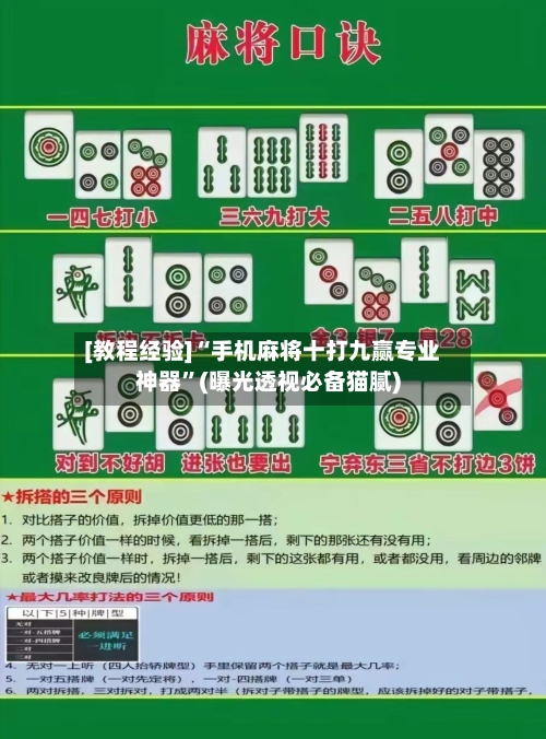 [教程经验]“手机麻将十打九赢专业神器”(曝光透视必备猫腻)-第3张图片