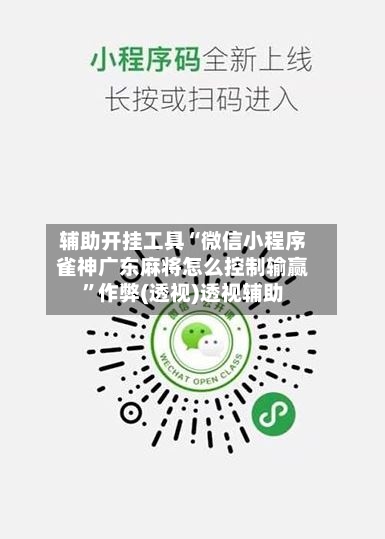 辅助开挂工具“微信小程序雀神广东麻将怎么控制输赢	”作弊(透视)透视辅助-第2张图片