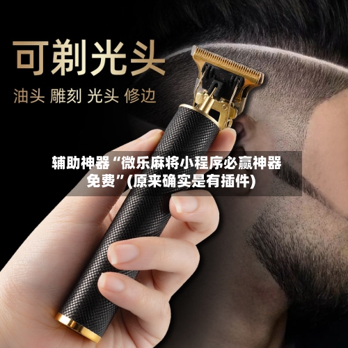 辅助神器“微乐麻将小程序必赢神器免费	”(原来确实是有插件)-第1张图片