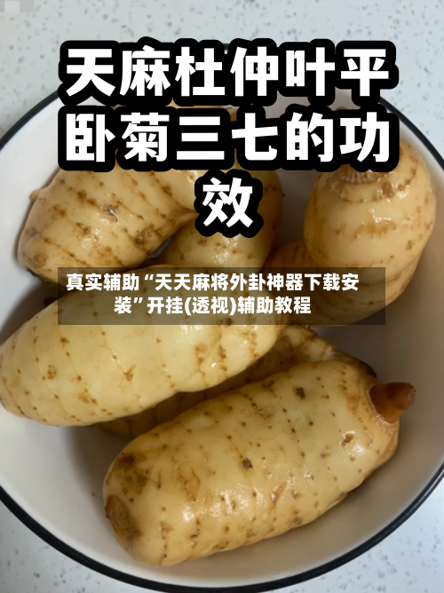 真实辅助“天天麻将外卦神器下载安装”开挂(透视)辅助教程-第1张图片