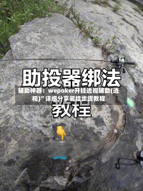 辅助神器：wepoker开挂透视辅助(透视)	”详细分享装挂步骤教程-第1张图片