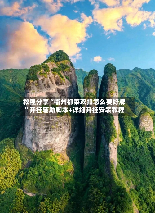 教程分享“衢州都莱双扣怎么要好牌”开挂辅助脚本+详细开挂安装教程-第3张图片