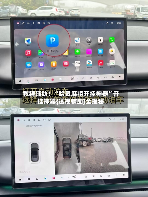 教程辅助！“哈灵麻将开挂神器”开挂神器{透视辅助}全揭秘-第2张图片