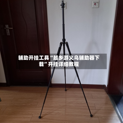 辅助开挂工具“越乡游义乌辅助器下载”开挂详细教程-第2张图片