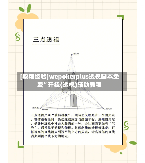 [教程经验]wepokerplus透视脚本免费	”开挂(透视)辅助教程-第2张图片