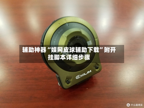 辅助神器“娱网皮球辅助下载	”附开挂脚本详细步骤-第3张图片