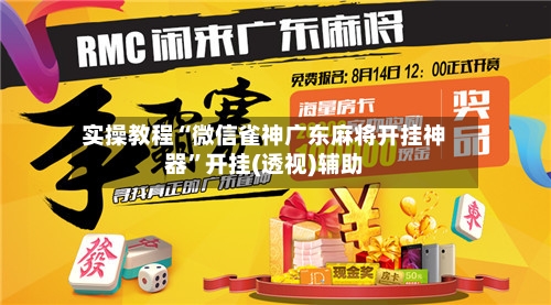 实操教程“微信雀神广东麻将开挂神器”开挂(透视)辅助-第2张图片