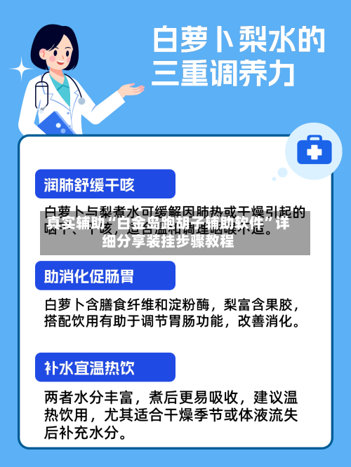 真实辅助“白金岛跑胡子辅助软件	”详细分享装挂步骤教程-第2张图片
