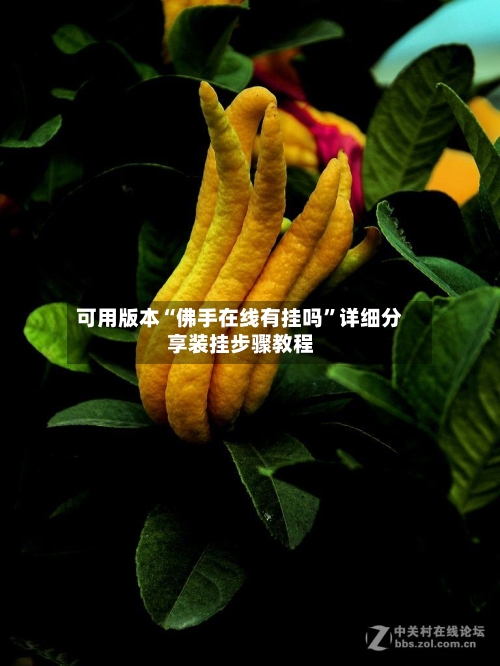 可用版本“佛手在线有挂吗”详细分享装挂步骤教程-第1张图片