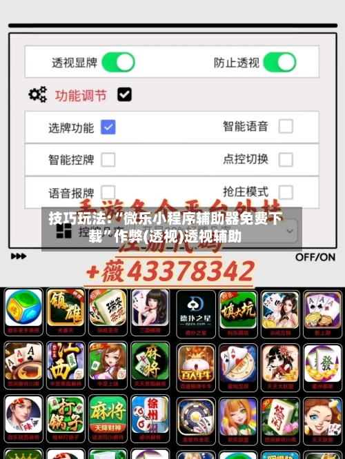 技巧玩法:“微乐小程序辅助器免费下载”作弊(透视)透视辅助-第3张图片