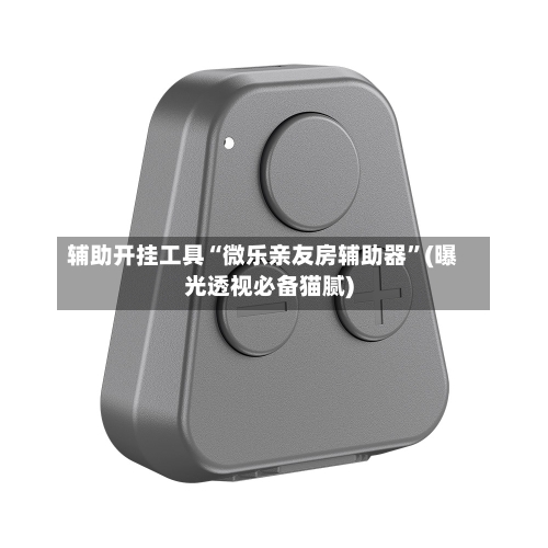 辅助开挂工具“微乐亲友房辅助器”(曝光透视必备猫腻)-第1张图片