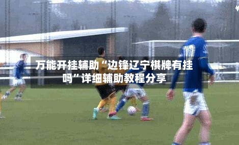 万能开挂辅助“边锋辽宁棋牌有挂吗”详细辅助教程分享-第2张图片