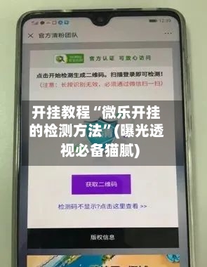 开挂教程“微乐开挂的检测方法”(曝光透视必备猫腻)-第2张图片