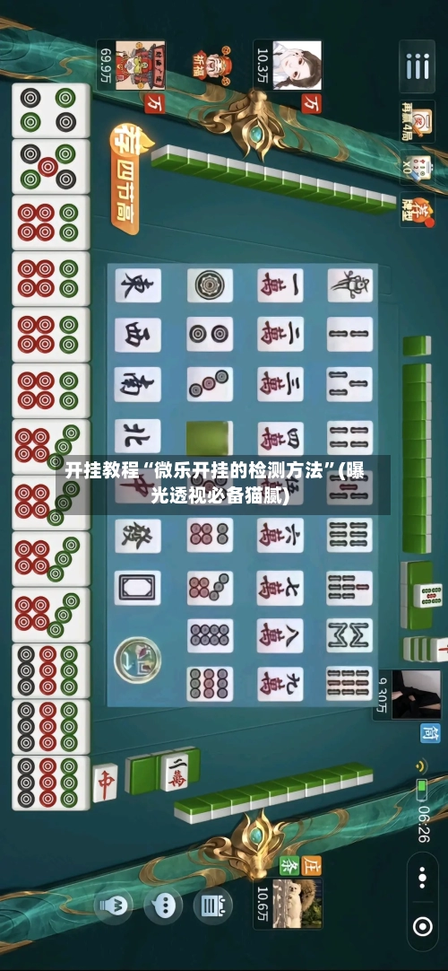 开挂教程“微乐开挂的检测方法	”(曝光透视必备猫腻)-第1张图片