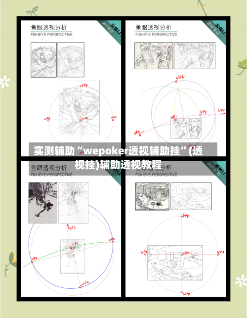 实测辅助“wepoker透视辅助挂”(透视挂)辅助透视教程-第2张图片