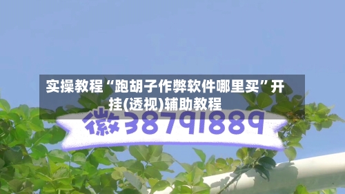 实操教程“跑胡子作弊软件哪里买”开挂(透视)辅助教程-第1张图片