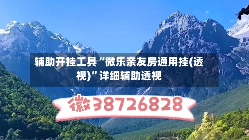 辅助开挂工具“微乐亲友房通用挂(透视)	”详细辅助透视-第3张图片