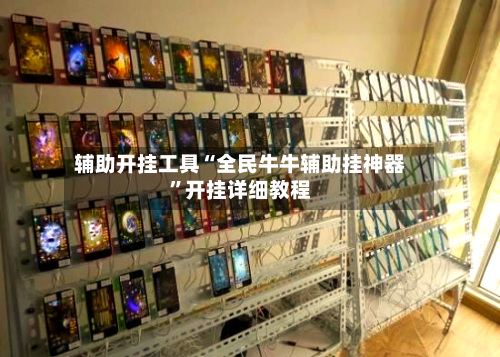 辅助开挂工具“全民牛牛辅助挂神器”开挂详细教程-第3张图片