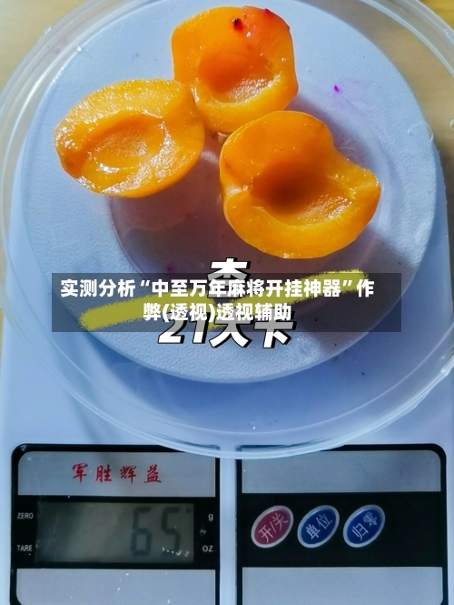 实测分析“中至万年麻将开挂神器”作弊(透视)透视辅助-第2张图片