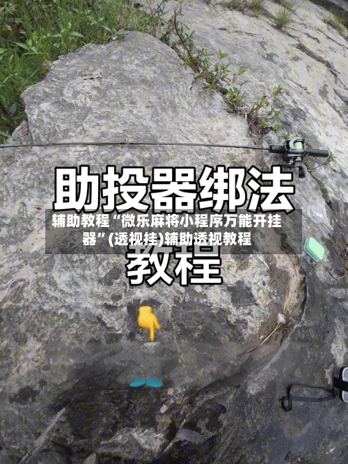 辅助教程“微乐麻将小程序万能开挂器”(透视挂)辅助透视教程-第1张图片