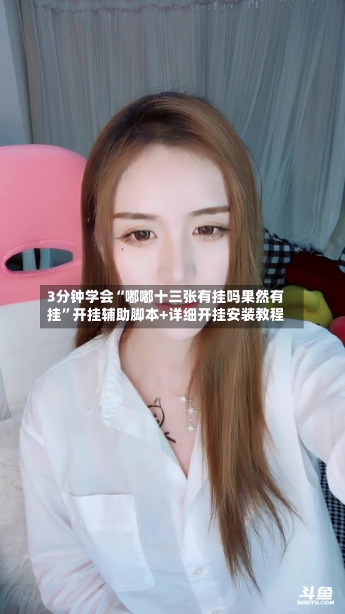 3分钟学会“嘟嘟十三张有挂吗果然有挂	”开挂辅助脚本+详细开挂安装教程-第1张图片