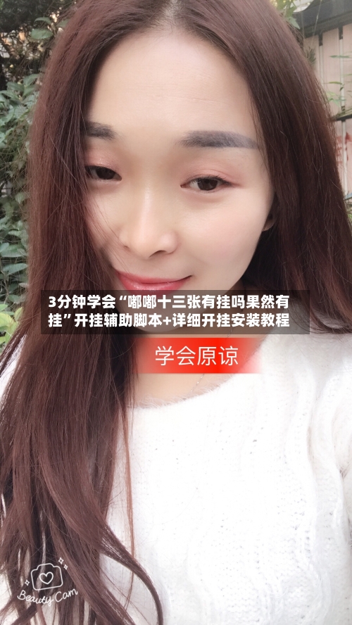 3分钟学会“嘟嘟十三张有挂吗果然有挂”开挂辅助脚本+详细开挂安装教程-第2张图片