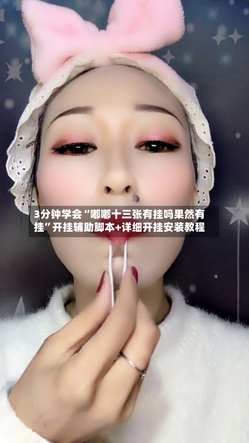 3分钟学会“嘟嘟十三张有挂吗果然有挂”开挂辅助脚本+详细开挂安装教程-第3张图片