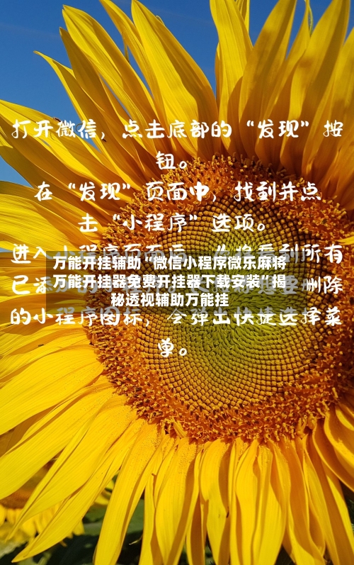 万能开挂辅助“微信小程序微乐麻将万能开挂器免费开挂器下载安装”揭秘透视辅助万能挂-第2张图片