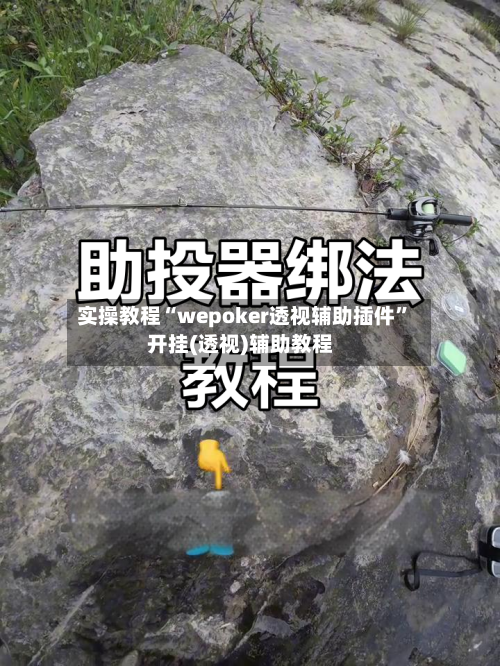 实操教程“wepoker透视辅助插件”开挂(透视)辅助教程-第1张图片