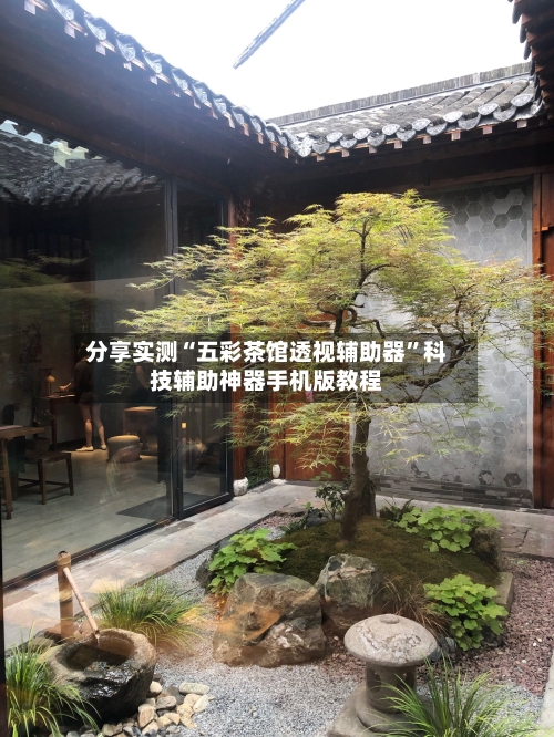 分享实测“五彩茶馆透视辅助器”科技辅助神器手机版教程-第1张图片