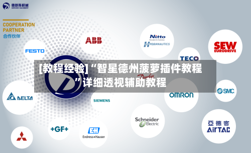 [教程经验]“智星德州菠萝插件教程”详细透视辅助教程-第2张图片