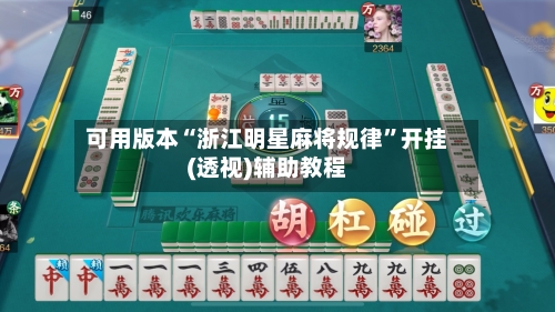 可用版本“浙江明星麻将规律”开挂(透视)辅助教程-第2张图片