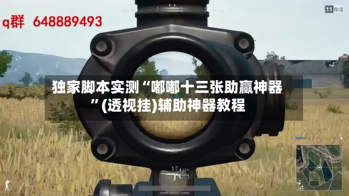 独家脚本实测“嘟嘟十三张助赢神器”(透视挂)辅助神器教程-第3张图片