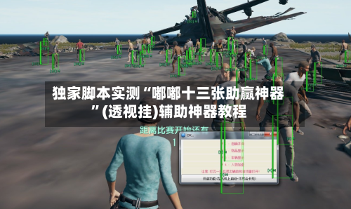 独家脚本实测“嘟嘟十三张助赢神器”(透视挂)辅助神器教程-第1张图片